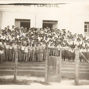 de1a984e-81ff-4fb1-ab6e-18cf153223ed